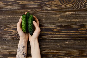 Overhead view of fresh cucumbers in hands over wooden background