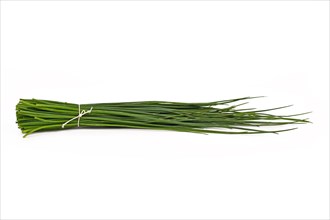 Bundle of cut chive tied with rope isolated on white background