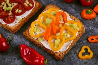 Slice of healthy whole grain toast topped with vegetables like yellow and orange bell peppers