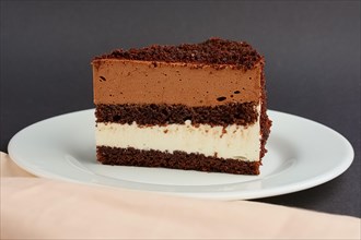 Portion of chocolate layer cake on plate