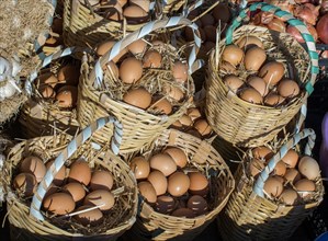 Organic fresh farm eggs in the straw basket