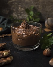 Delicious chocolate mousse with close up
