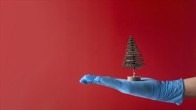 Person wearing medical gloves holding tree toy