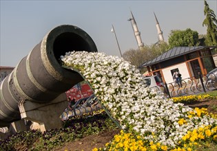 Flowers running out of a pipe in a garden