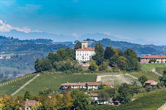 Wineyards before the Alps in the Unesco world heritage site Piedmont