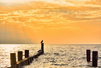 Groynes in the morning light