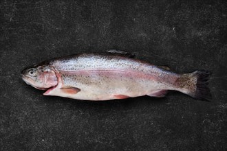 Overhead view of whole fresh raw trout