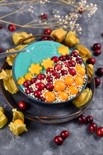 Fruit smoothie bowl with healthy natural green spirulina powder decorated with cranberries
