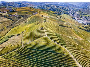 Aerials of the wineyards around Castle of Grinzane Cavour