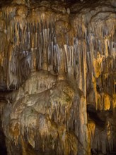 Stalactite formations in the Baerenhoehle