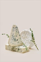 Various types of blue mold cheese