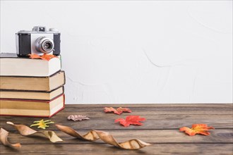 Dried leaves near books camera