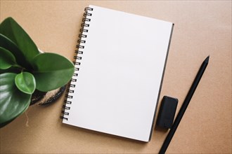 Plant pencil near notebook