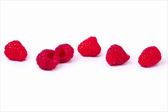 Raspberries in a line on white background