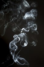 Smoke silhouette with wavy shapes. Resolution and high quality beautiful photo