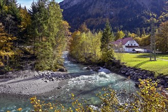 The Ostrach in the autumnal Ostrachtal