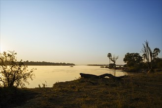 Beautiful scenery of the Zambezi river at sunrise. A small boat is cruising on the river. Victoria falls