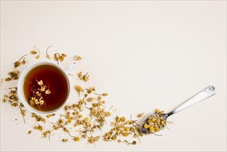 Top view refreshing tea herbs. Resolution and high quality beautiful photo