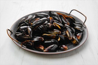 Big plate with frozen cooked whole shell mussels