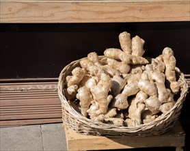 Fresh ginger root at the farmers market