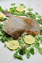 Fresh flounder without head on wooden background