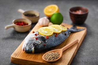 Gilt head bream with spice prepared for cooking