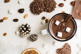 Mug hot chocolate with cinnamon marshmallows. Resolution and high quality beautiful photo