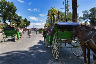 Typical horse-drawn carriages and passers-by on street