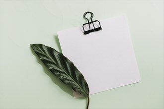 Green leaf white paper with black paperclip against pastel background