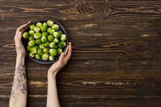 Overhead view of fresh brussel sprout in hands over wooden background
