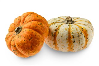 Two carnival squash pumpkins isolated on white background