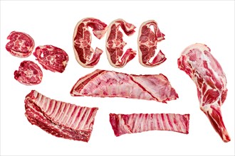 Fresh lamb cuts. Different parts of mutton meat isolated on white