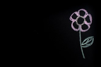 Hand drawn simple flower with white chalk on blackboard