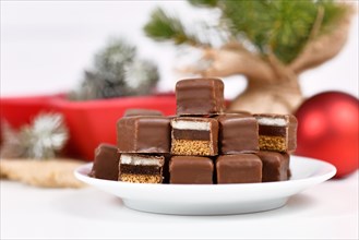 Traditional German sweets called 'Dominosteine'. Christmas candy consisting of gingerbread