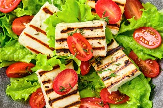 Macro photo of salad with grilled halloumi cheese