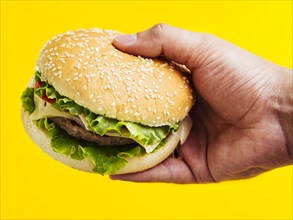 Man holding cheeseburger with seeds. Resolution and high quality beautiful photo