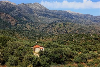 Small church surrounded by olive trees in the Levka Ori area