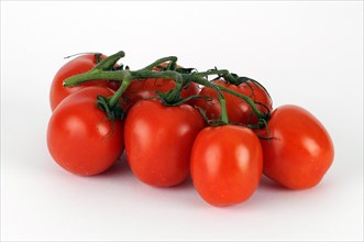 Red vine tomatoes