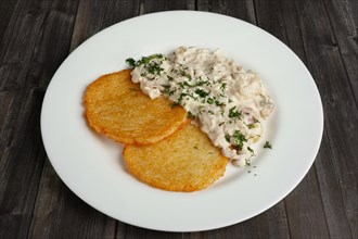 Top view of plate with draniki and mushroom cream sauce