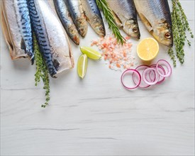 World food day concept. Seafood day. Composition with fresh herring