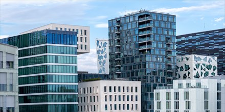 Oslo skyline modern city architecture buildings real estate office building in Barcode District panorama in Oslo