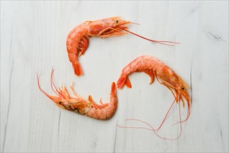 Top view of unpeeled shrimp with head on wooden table