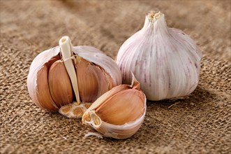 Garlic bulbs with cloves on sackcloth background