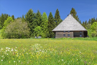 Black Forest House near Schluchsee