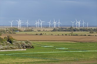 Wind farm near Rye