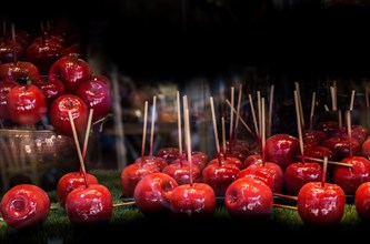 Candy apples are whole apples covered in a hard toffee or sugar candy coating
