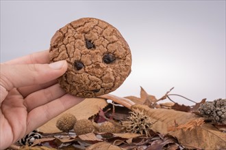 Chocolate chip cookie in hand