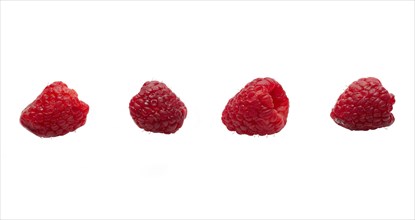 Four raspberries in a line isolated on white