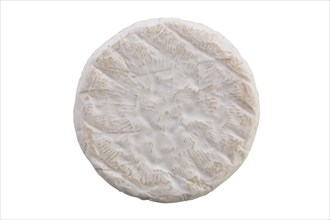 Camembert cheese isolated on white background