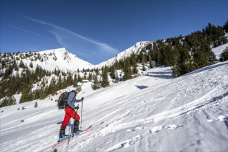 Ski tourers climbing the Sonntagshorn